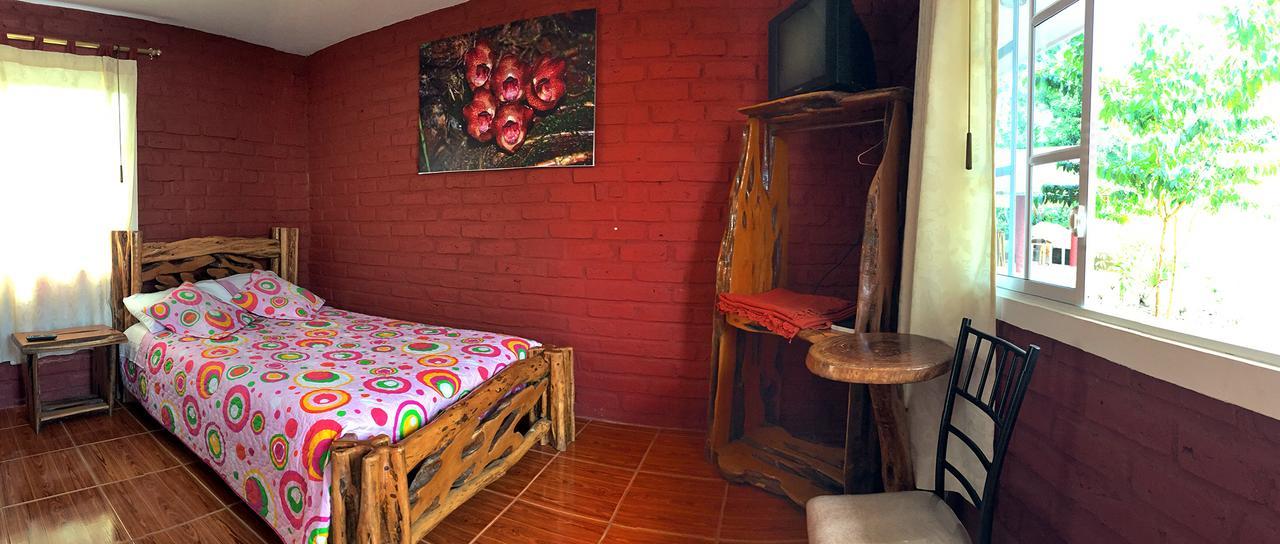 Hosteria Don Elias Puyo Kültér fotó